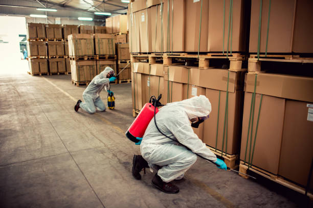 Best Affordable Pest Control Services  in Harbor Bluffs, FL