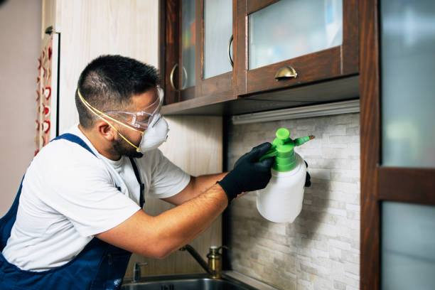 Professional Pest Control in Harbor Bluffs, FL
