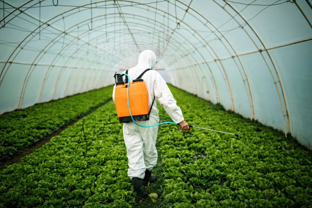 Best Pest Control Near Me  in Harbor Bluffs, FL