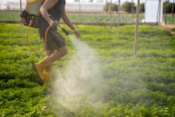 Best Pest Inspection Near Me  in Harbor Bluffs, FL