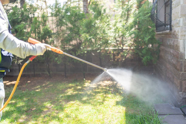 Best Ant Control Services  in Harbor Bluffs, FL