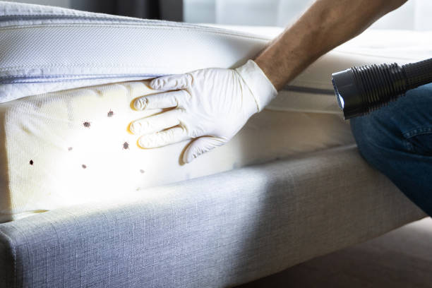 Best Wildlife Control Services  in Harbor Bluffs, FL