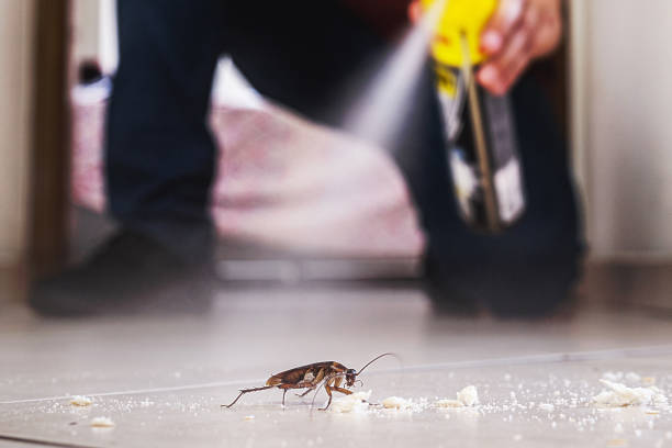 Best Commercial Pest Control Services  in Harbor Bluffs, FL