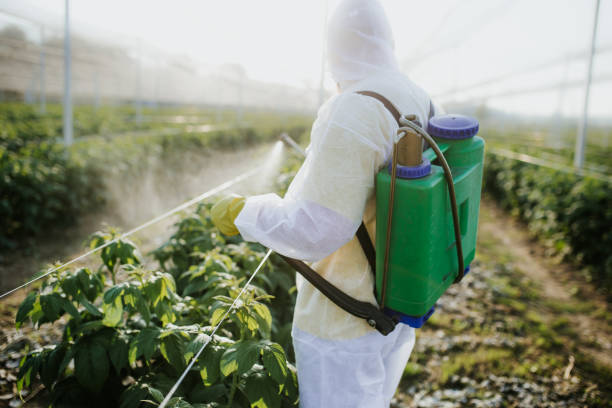 Best Residential Pest Control  in Harbor Bluffs, FL